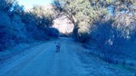 photo thumbnail #12