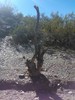 photo thumbnail #2