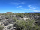 photo thumbnail #2