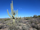 photo thumbnail #9