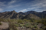 photo thumbnail #2