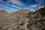 photo thumbnail #4