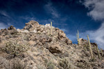 photo thumbnail #13