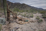 photo thumbnail #14