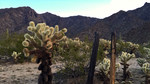 photo thumbnail #1