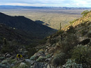 photo thumbnail #4