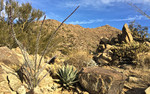 photo thumbnail #5