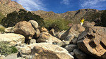 photo thumbnail #13
