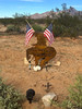 photo thumbnail #14