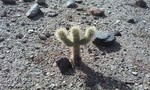 photo thumbnail #1