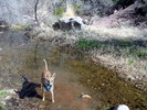 photo thumbnail #4