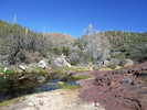 photo thumbnail #5