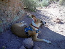 photo thumbnail #9