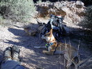 photo thumbnail #10