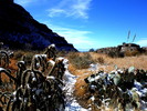 photo thumbnail #15