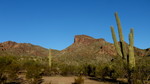 photo thumbnail #2