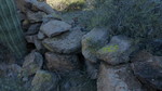 photo thumbnail #7