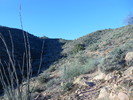 photo thumbnail #1