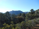 photo thumbnail #6