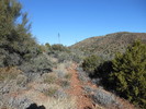 photo thumbnail #7