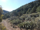 photo thumbnail #8