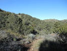 photo thumbnail #9