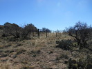 photo thumbnail #12