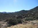 photo thumbnail #13