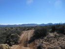 photo thumbnail #15