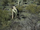 photo thumbnail #2