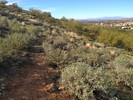 photo thumbnail #2