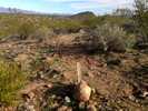 photo thumbnail #4