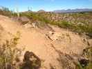 photo thumbnail #6