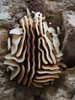 photo thumbnail #3