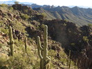 photo thumbnail #15