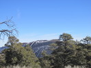 photo thumbnail #8