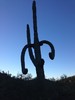 photo thumbnail #2