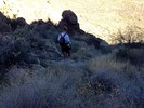 photo thumbnail #7