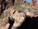 photo thumbnail #8