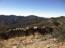 photo thumbnail #12