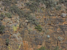 photo of comment