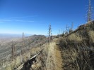 photo thumbnail #5
