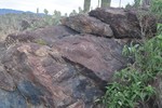 photo thumbnail #2