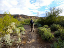 photo thumbnail #6