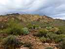 photo thumbnail #8