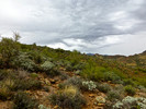 photo thumbnail #10