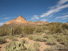 photo thumbnail #12