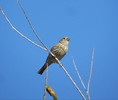 photo thumbnail #10