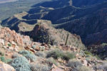 photo thumbnail #12