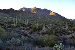 photo thumbnail #13